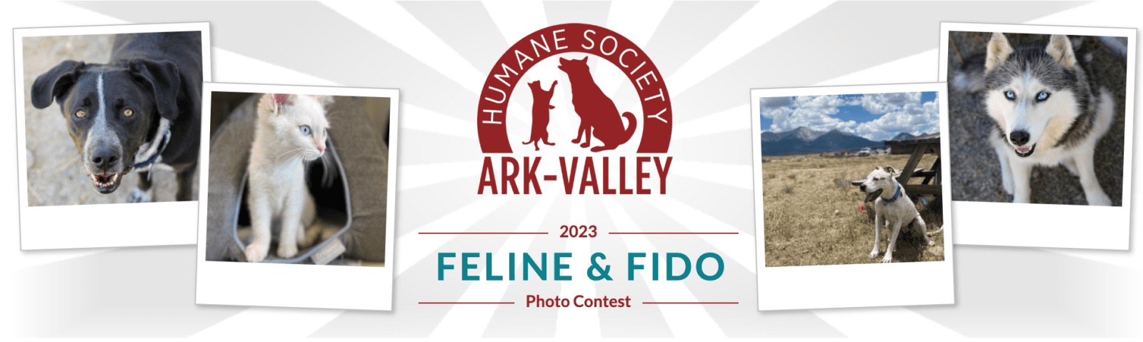 Feline & Fido Photo Contest & Fundraiser